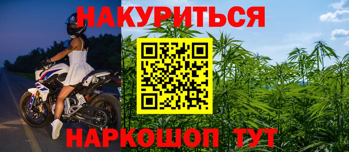 Бошки Шишки тримм Ачхой-Мартан
